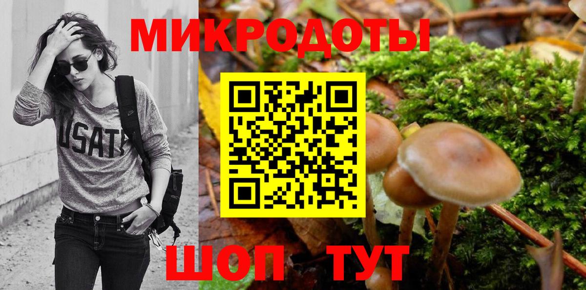 Малоярославец  Галлюциногенные грибы Cubensis  Вход с VPN 