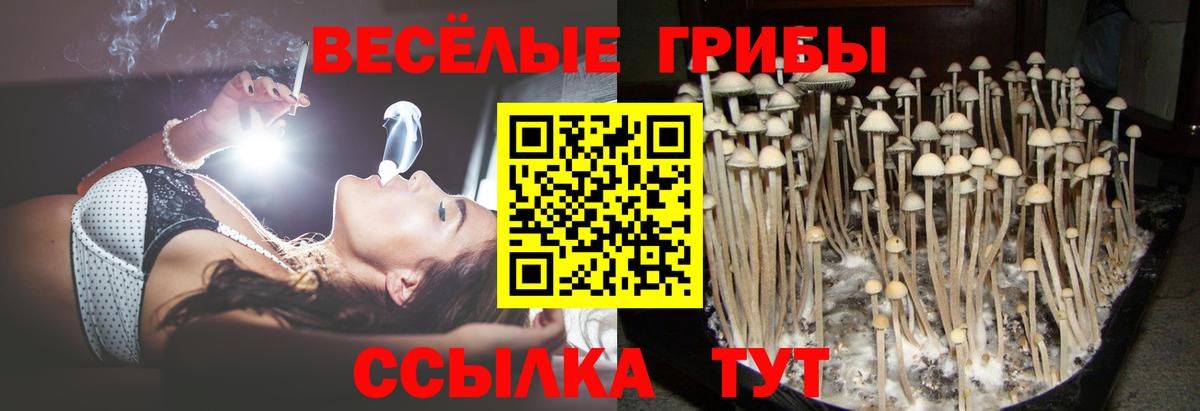Псилоцибиновые грибы Magic Shrooms Малоярославец